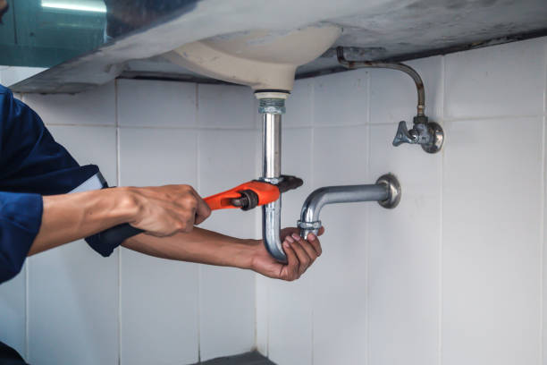 Best Plumbing Inspection Services  in Almont, MI