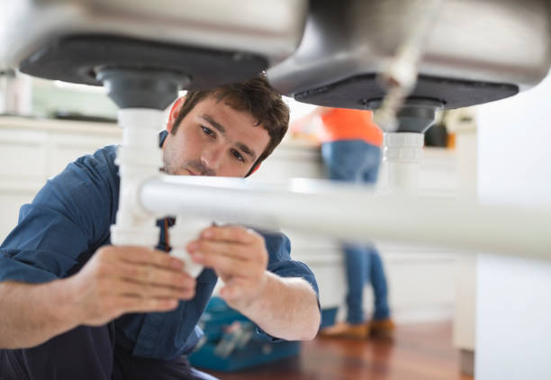 Best Sewer Line Repair  in Almont, MI